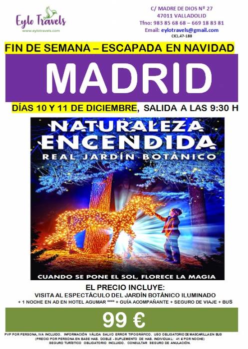 MADRID ENCENDIDO