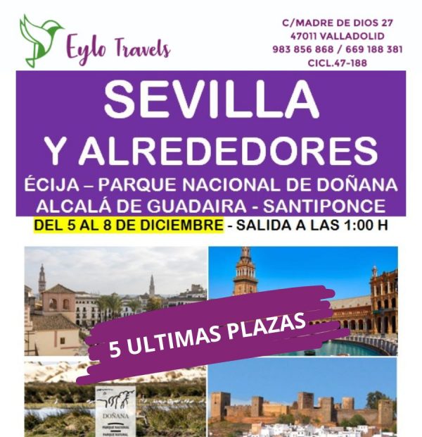 Sevilla desde Valladolid ultimas plazas