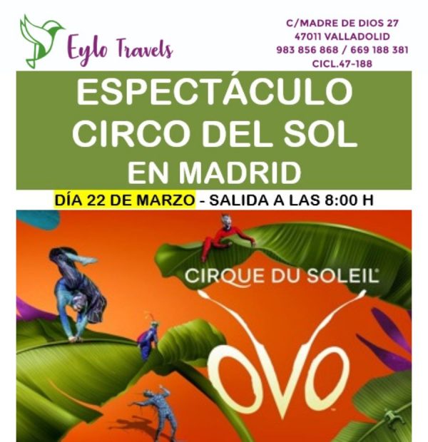 Circo del Sol: OVO en Madrid desde Valladolid