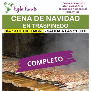 Cena de Navidad Eylo travels desde valladolid