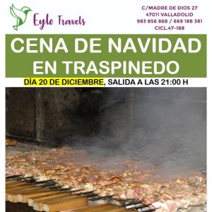 Cena de Navidad Eylo travels desde valladolid