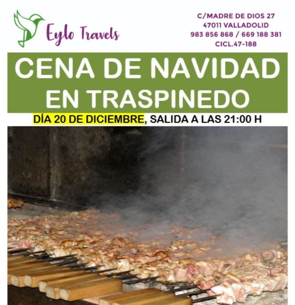 Cena de Navidad Eylo travels desde valladolid