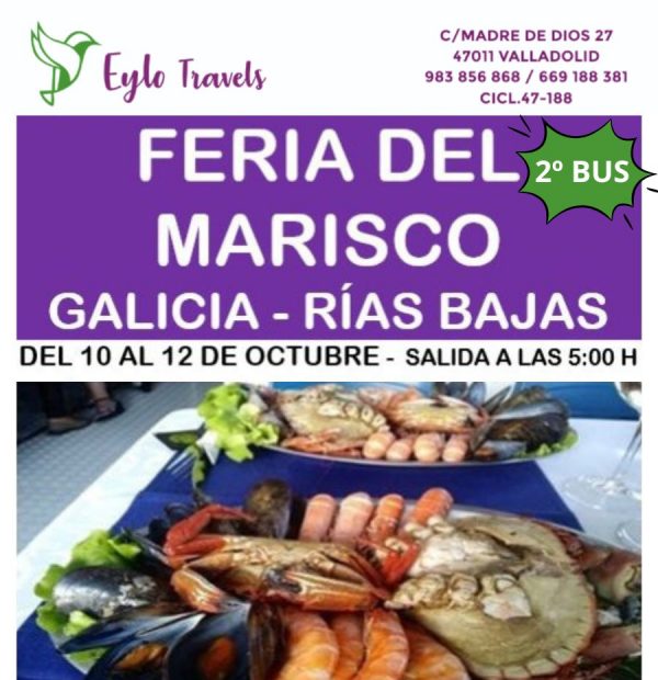 Feria del Marisco desde Valladolid 2 Bus