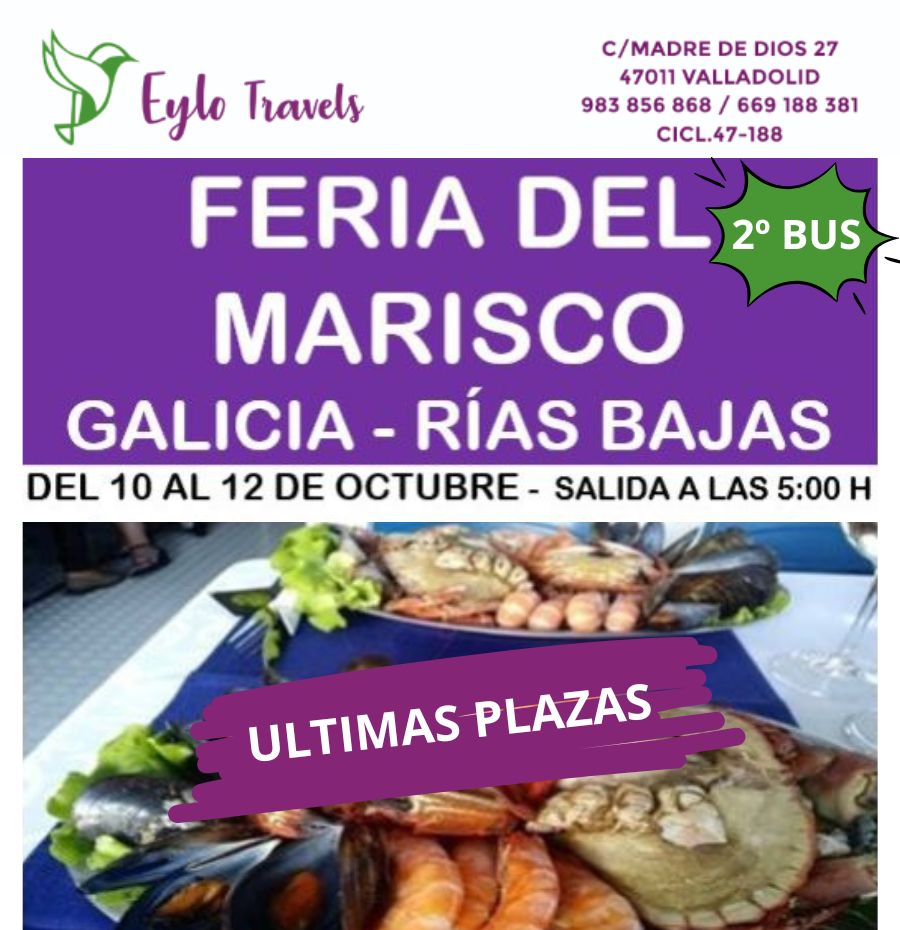 Feria del Marisco desde Valladolid 2 Bus