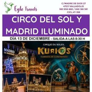 viaje al Circo del Sol KURIOS y Madrid iluminado en Navidad desde Valladolid